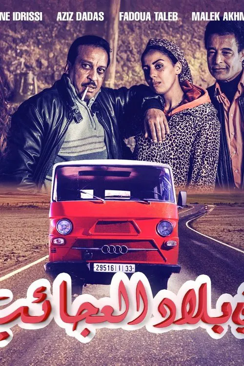 In The Land Of Wonders movie poster