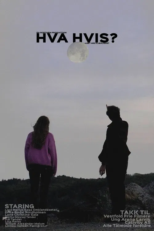 What if? movie poster