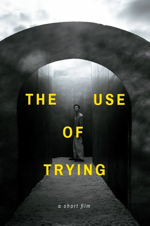 Poster do filme The Use of Trying