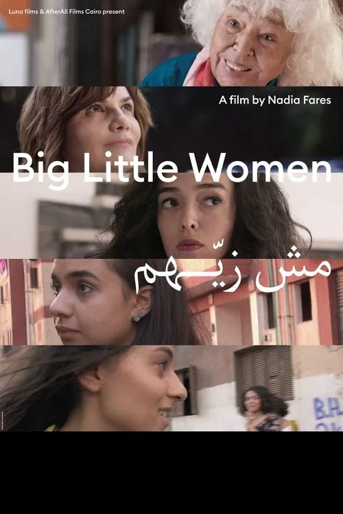 Big Little Women movie poster