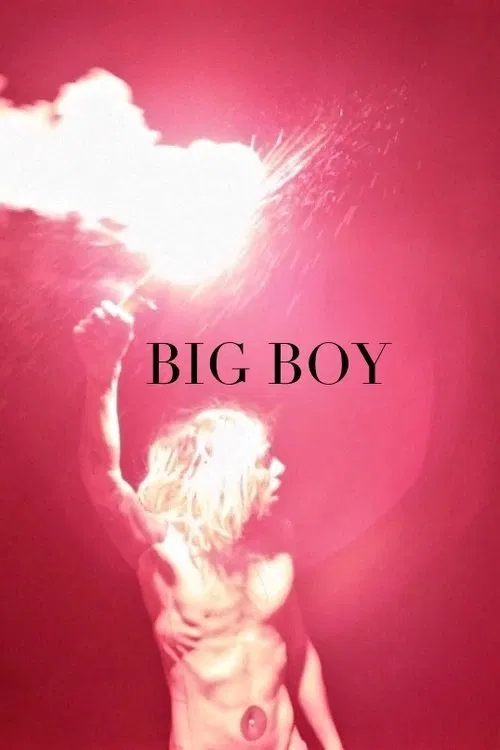 Big Boy movie poster