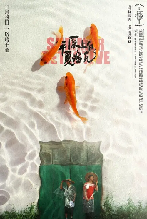 Poster do filme Summer Detective