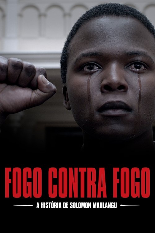 Poster do filme Fogo Contra Fogo