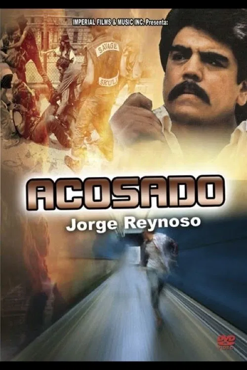 Poster do filme Acosado