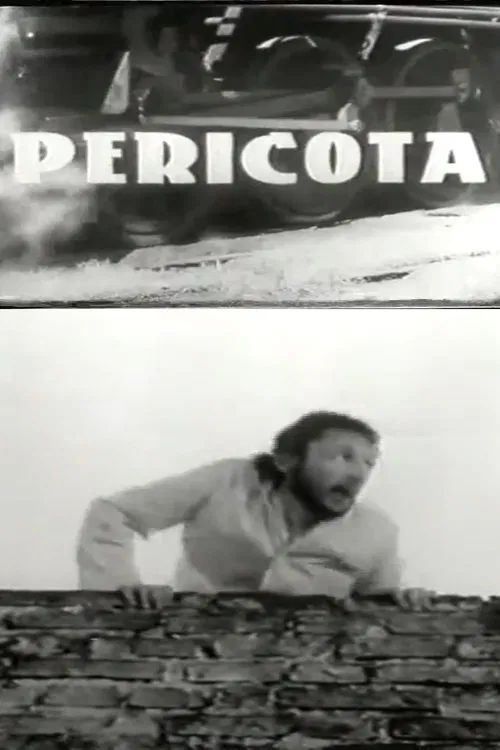 Pericota movie poster