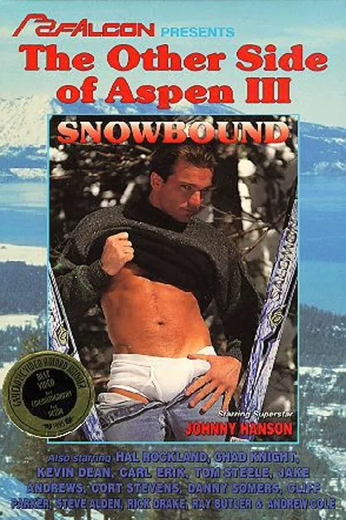 The Other Side Of Aspen 3: Snowbound movie poster