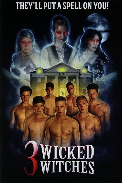 3 Wicked Witches movie poster