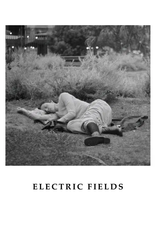 Electric Fields movie poster