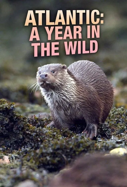 Atlantic: A Year in the Wild tv show poster