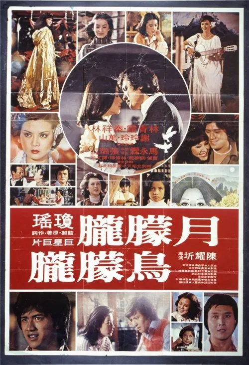 Poster do filme The Misty Moon