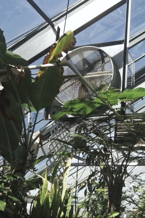 There are things in this world that are yet to be named movie poster