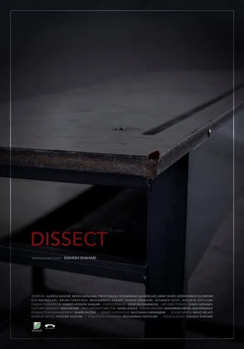 Dissect movie poster
