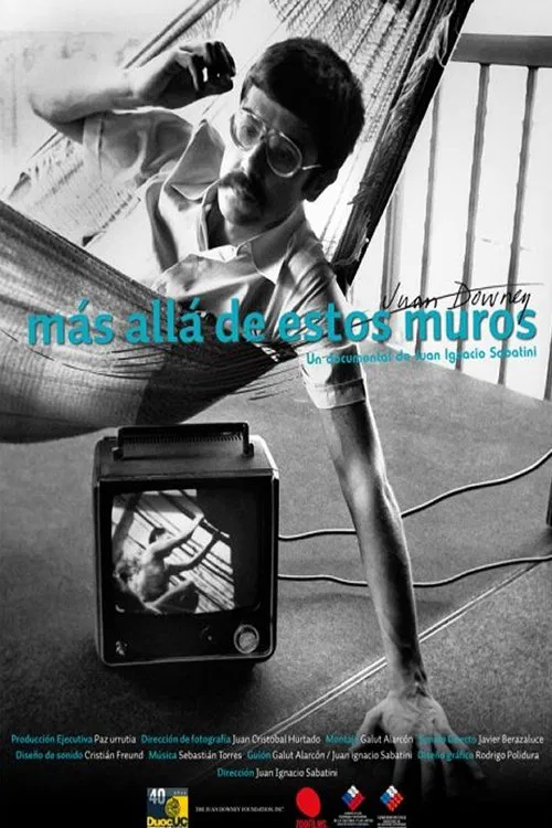 Juan Downey: más allá de estos muros movie poster