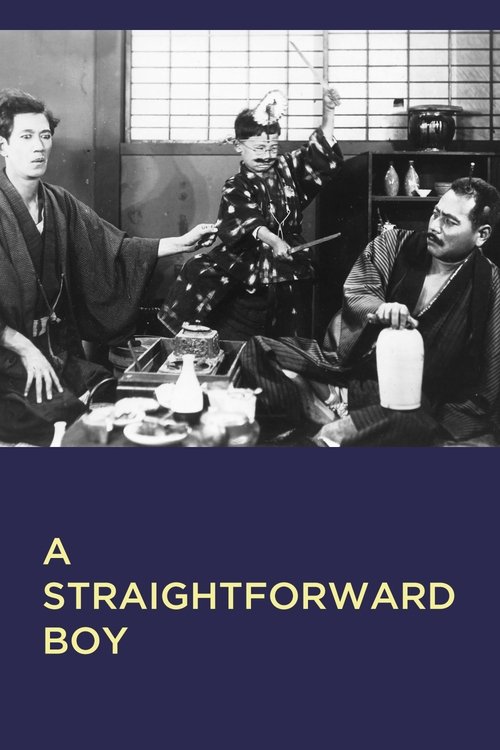 A Straightforward Boy movie poster
