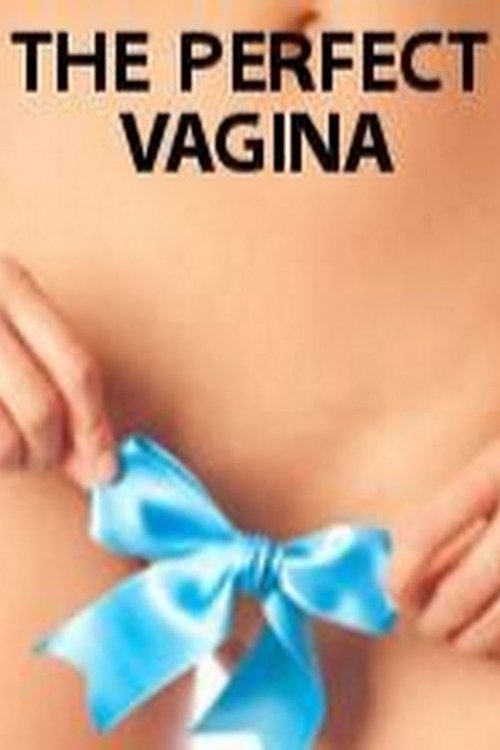 The Perfect Vagina movie poster