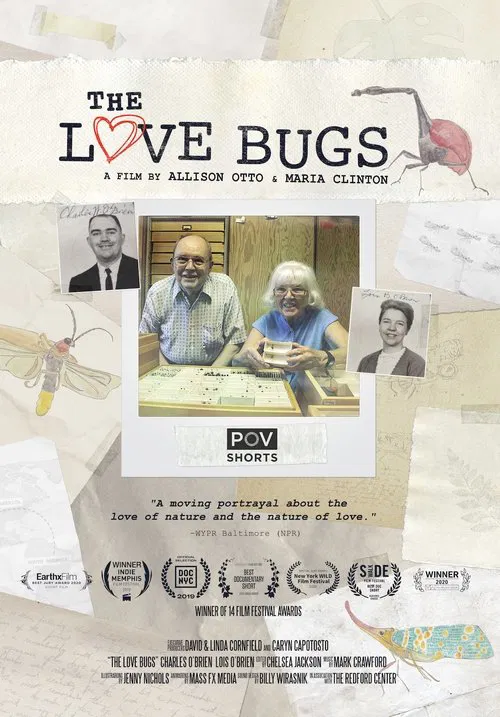The Love Bugs movie poster