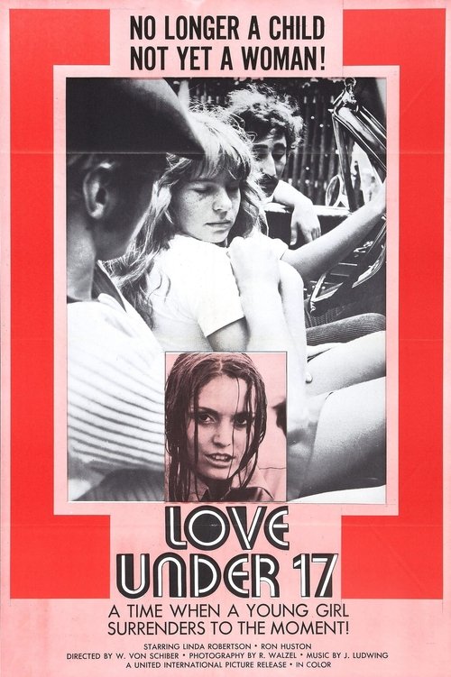 Love Under 17 movie poster