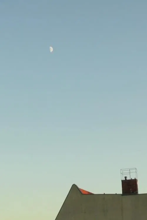 Notes from the Neighbourhood movie poster