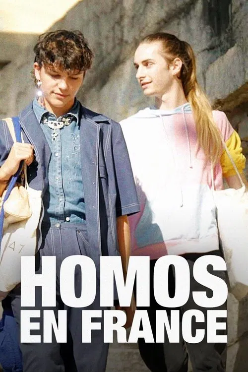 Homos in France movie poster