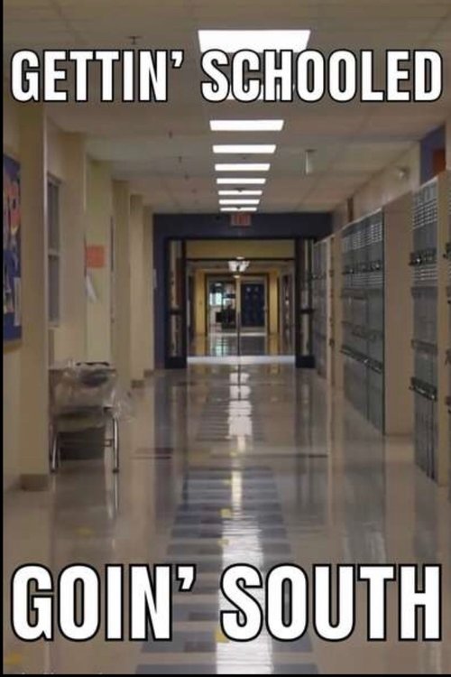 Gettin' Schooled, Goin' South movie poster