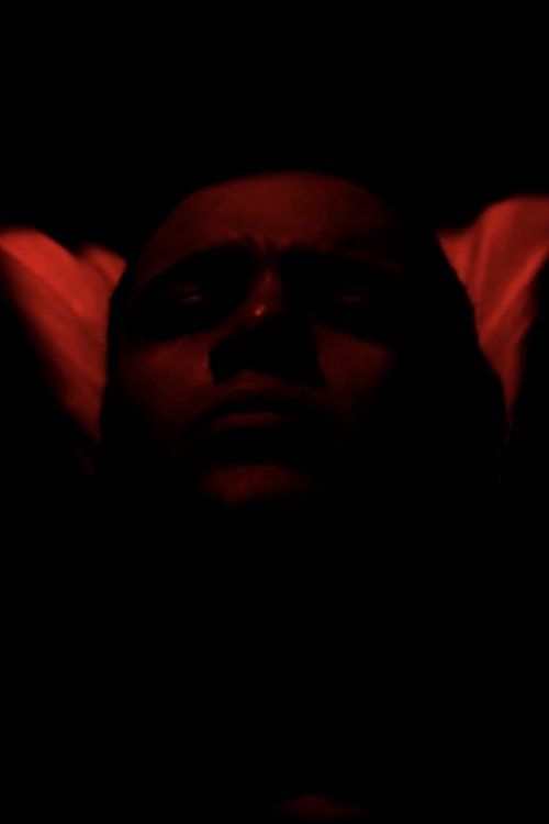 Incubador movie poster
