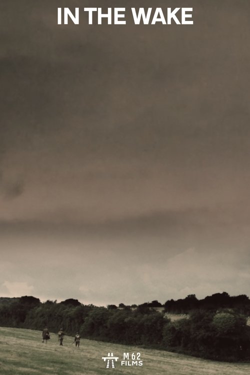 In The Wake movie poster