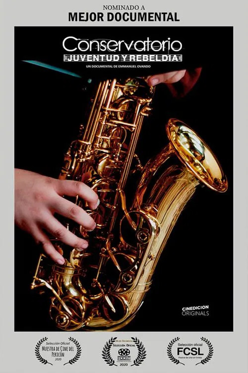 Conservatorio: Juventud y Rebeldía movie poster