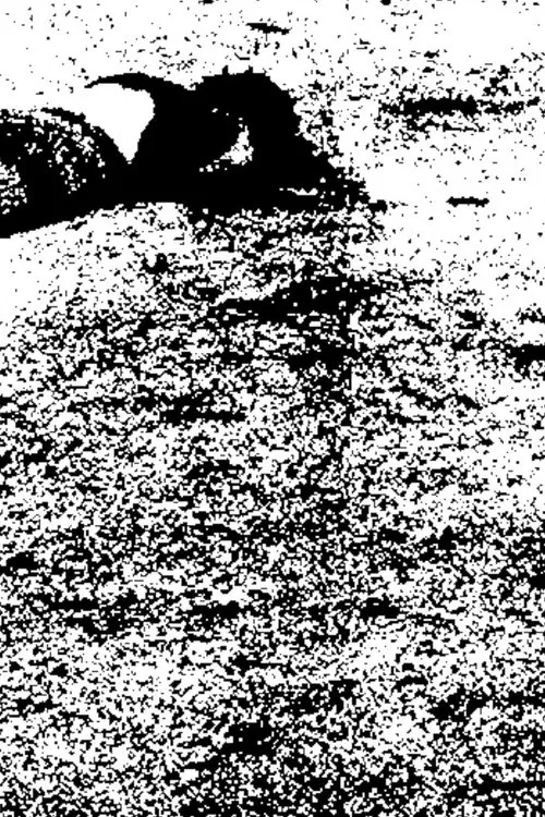 8 Meters, 4 Meters movie poster