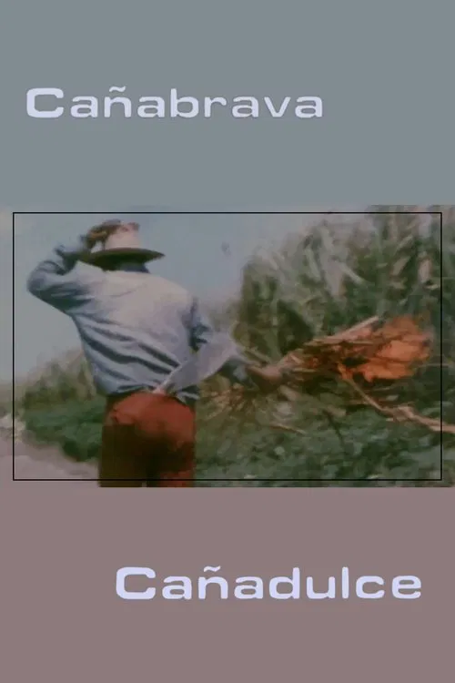 Cañabrava Cañadulce movie poster