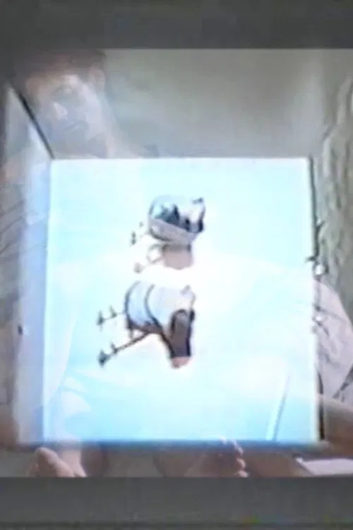 Poster do filme Physical Instincts