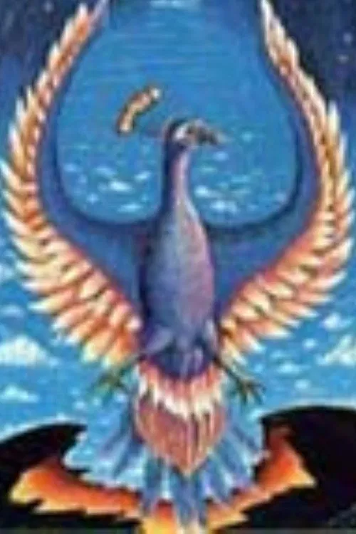 Poster do filme A Whole New Life! ...Through Past Life Therapy