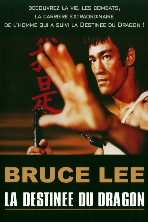 Bruce Lee - La Destinée du Dragon movie poster
