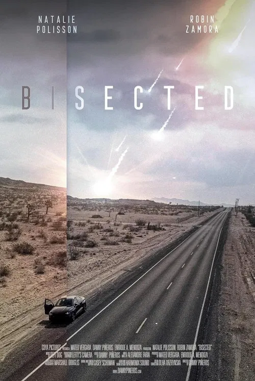 Bisected movie poster
