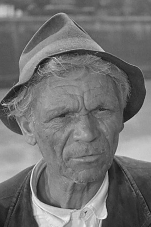 Giulio Chiari profile picture