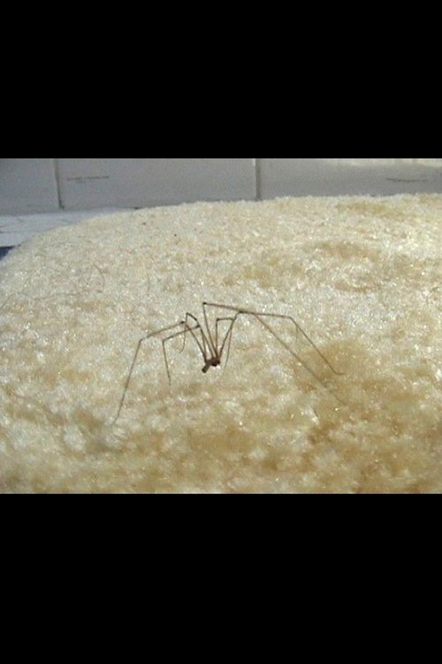 Coven of the Heathenites movie poster