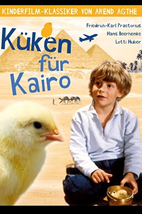 Chicken for Cairo movie poster