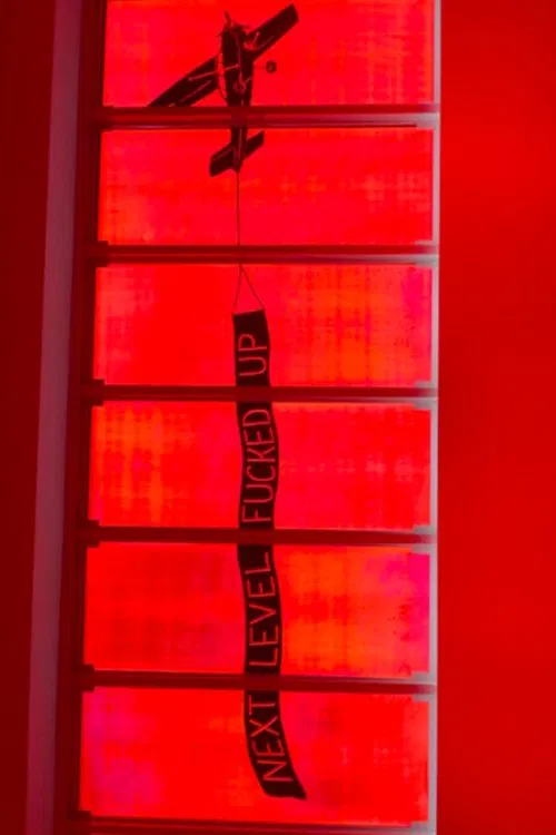 NEXT LEVEL FUCKED UP movie poster