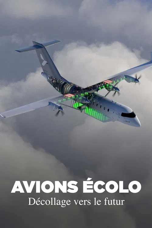 Grünes Fliegen - Reisen in der Zukunft movie poster