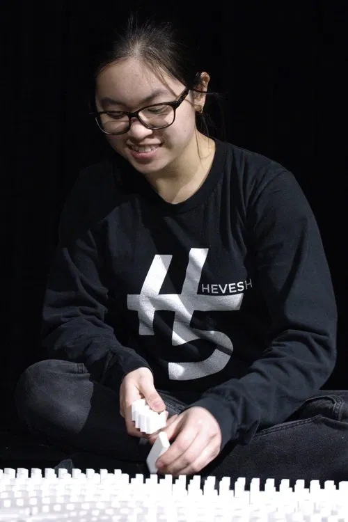 Lily Hevesh profile picture