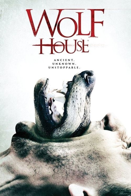 Wolf House movie poster