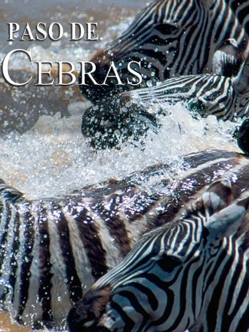 Zebras on the move movie poster