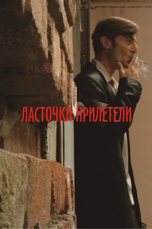 Swallows Have Arrived movie poster