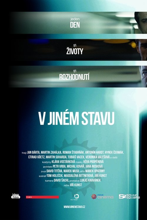 V jiném stavu movie poster