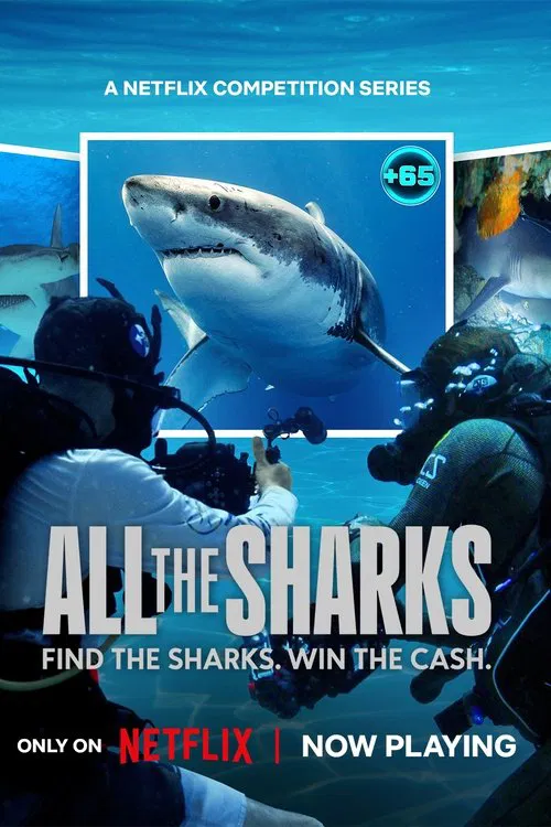 All the Sharks tv show poster