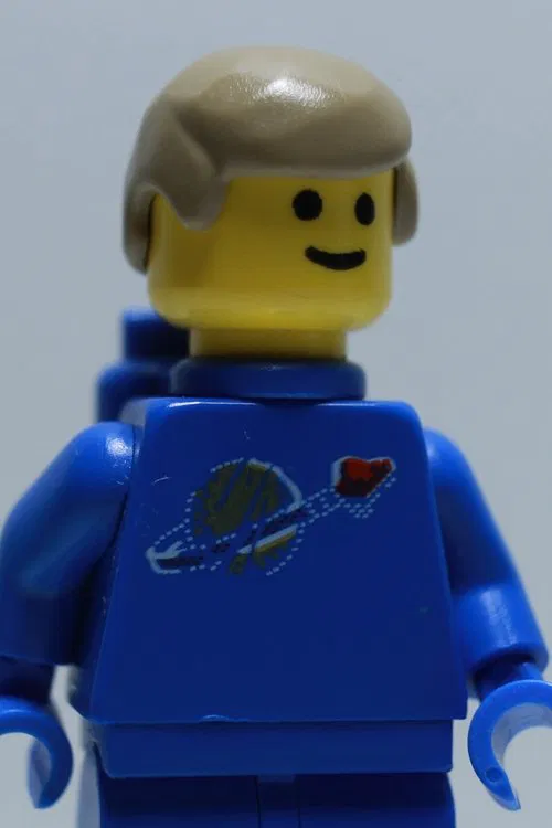 Wilhelm Lindblad profile picture