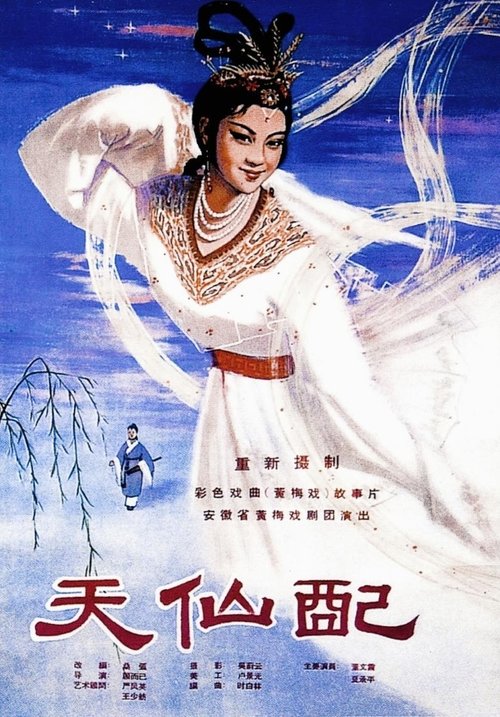 Fairy Couple movie poster