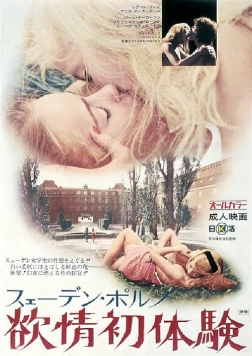 Swedish Porno: Desire First Sex Experience movie poster
