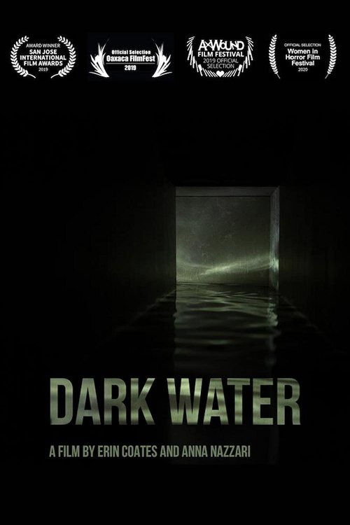 Dark Water movie poster
