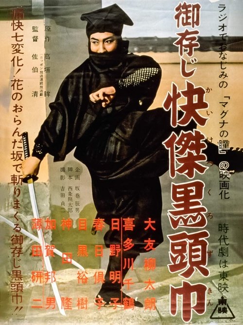 Poster do filme The Black Hooded Man
