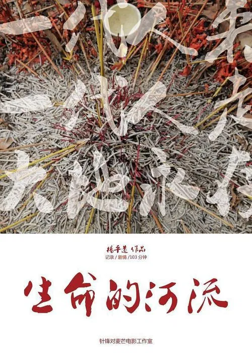 The River of Life movie poster